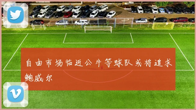 自由市场临近公牛等球队或将追求鲍威尔